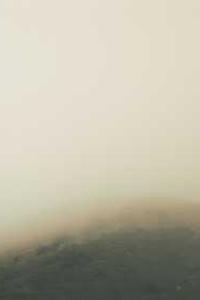 Sarah Johnson