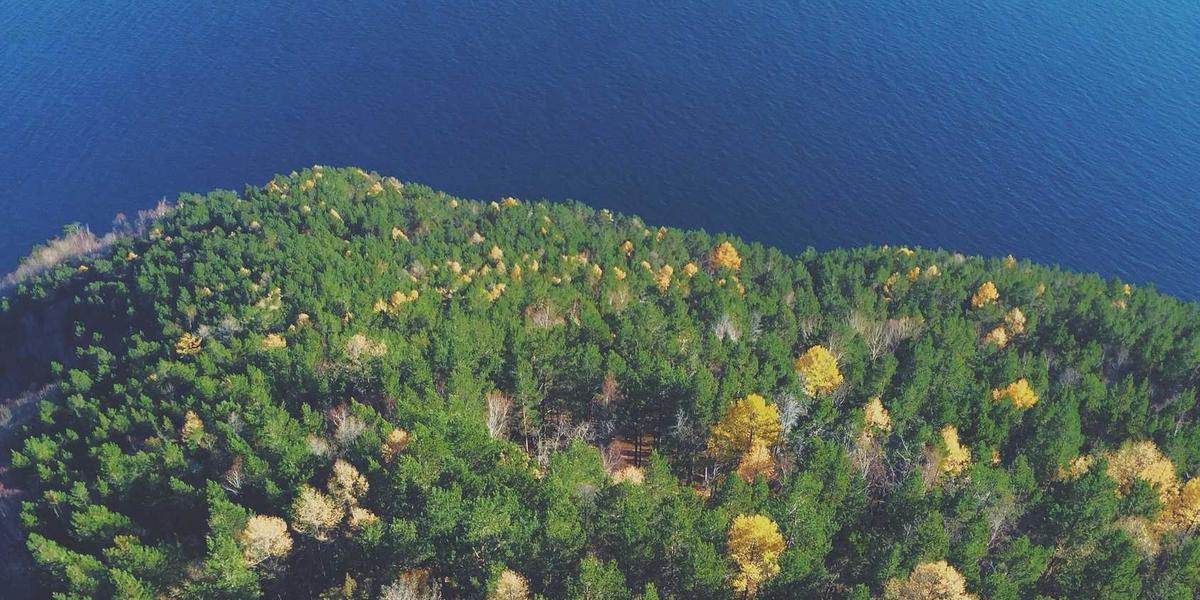 A GAME OF THRONES Movie is Coming